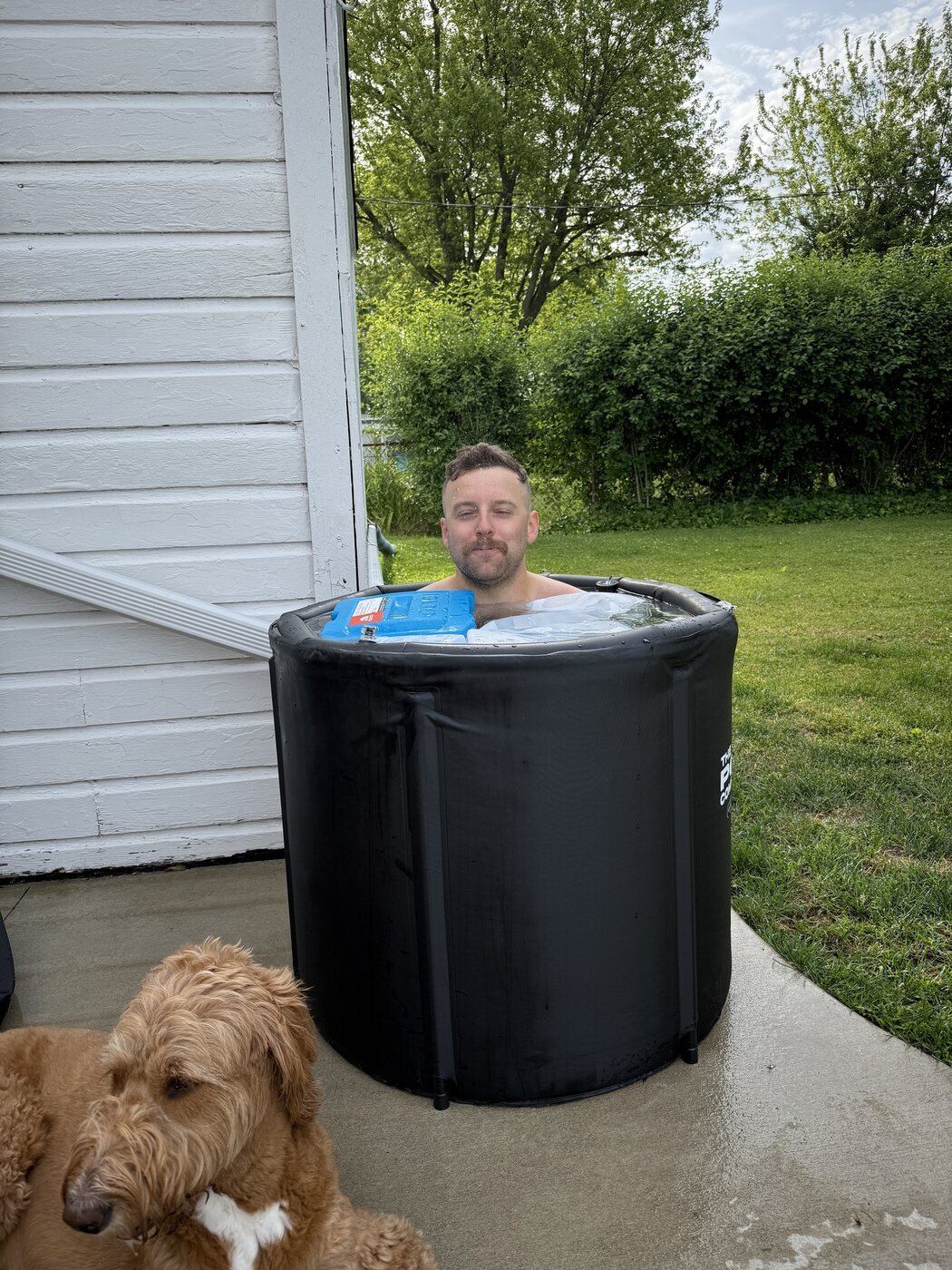 Cold plunge
