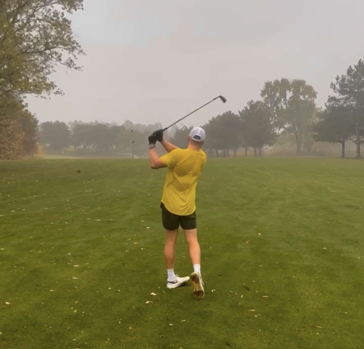 Foggy morning swing